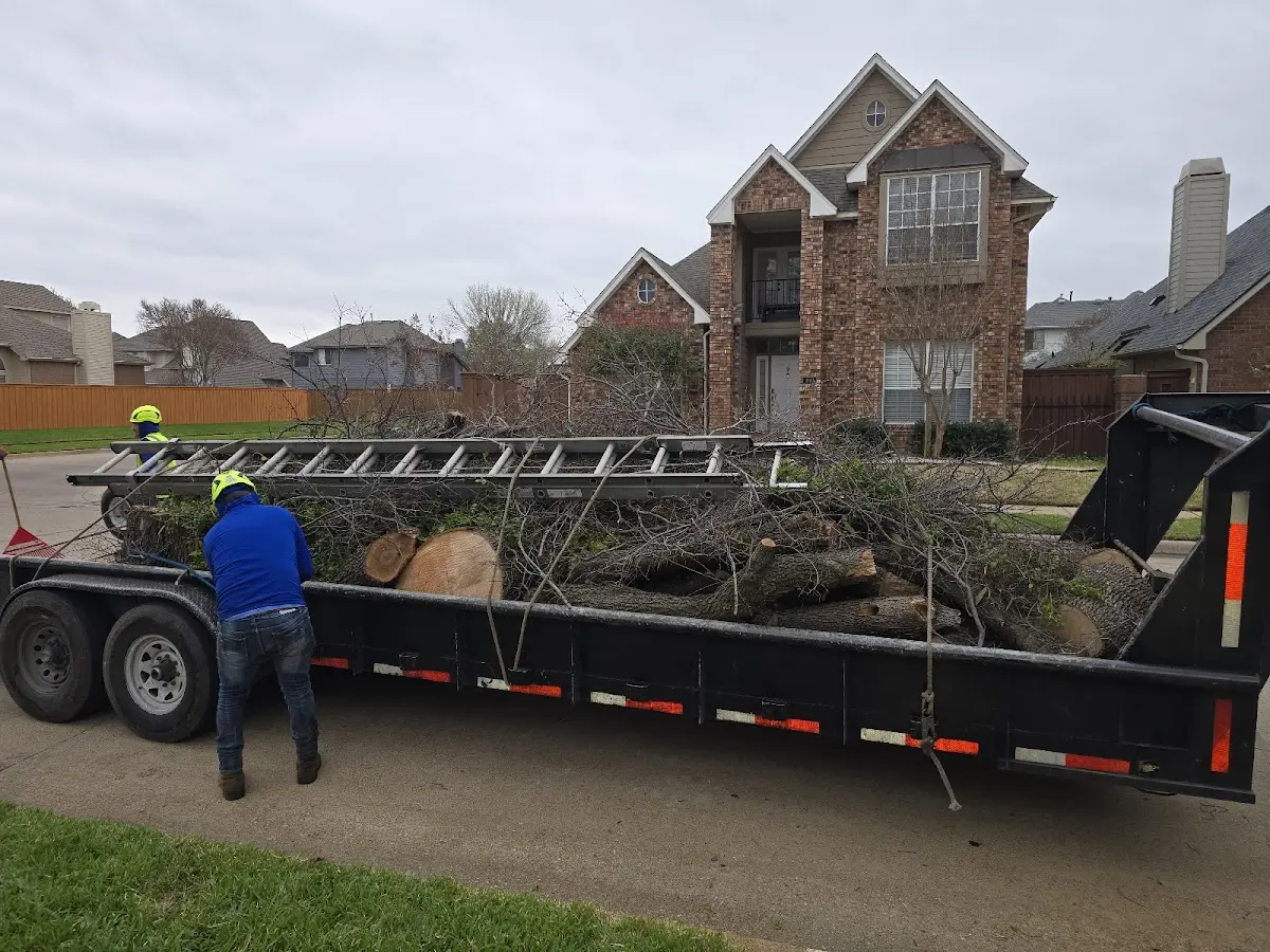 Expert Tree Fertilization with proper safety equipment in Switchback